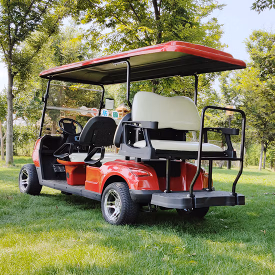 4 Wheel Drive 6 Seater Golf Buggy with Solar Panel