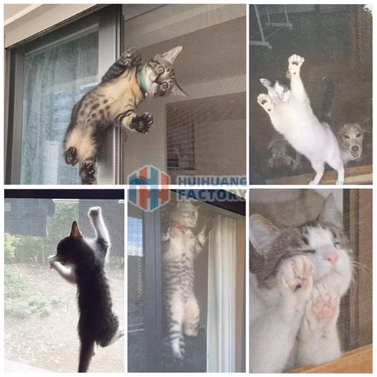 Three Wheel Folding Pet Stroller, Dog Jogger Travel Cats Carrier Adjustable Canopy Storage Brake Mesh Window, Four